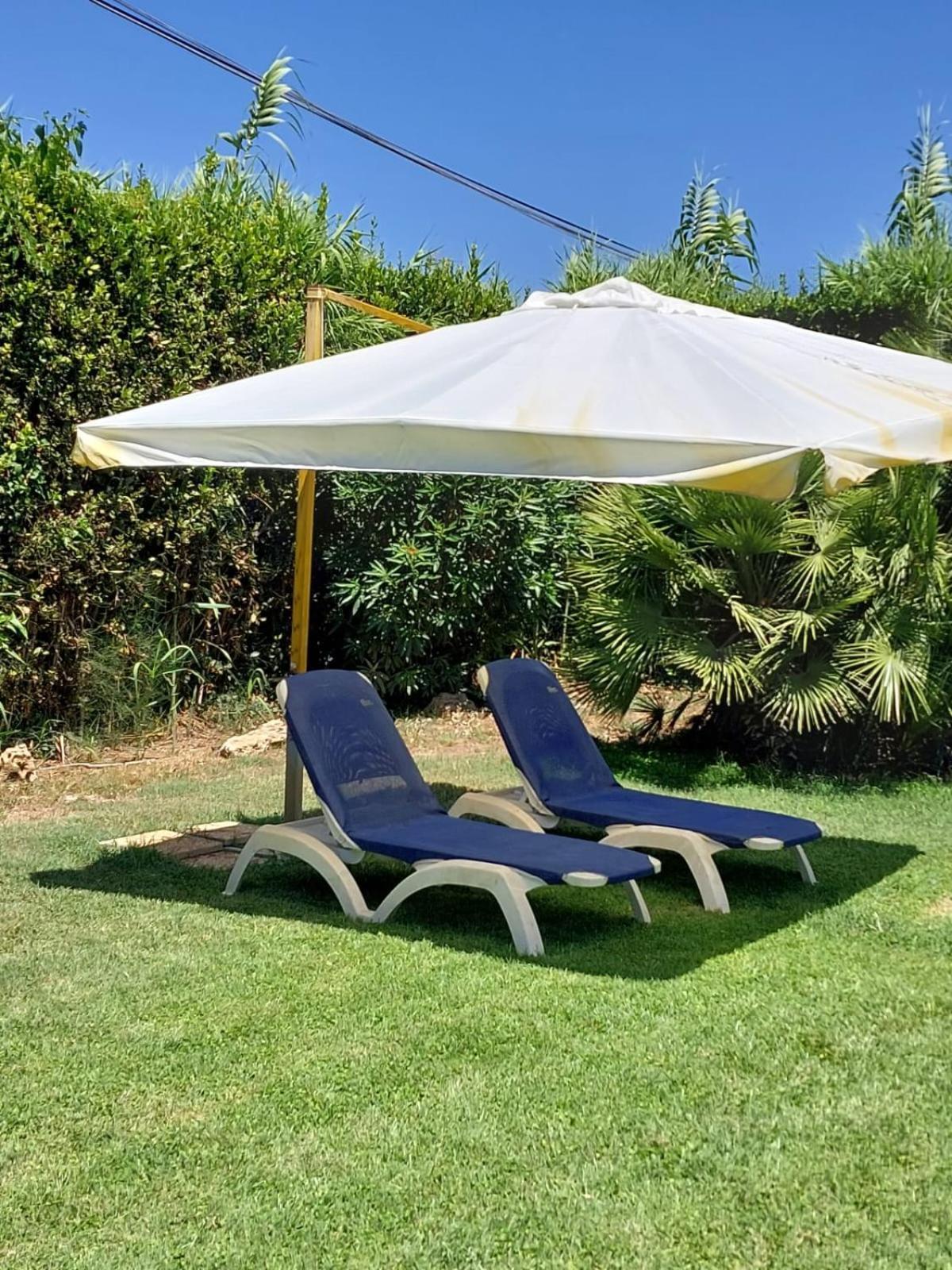Cozy Studio - Monolocale - Fiumicino Aeroporto E Fiera - Self Check-In Экстерьер фото